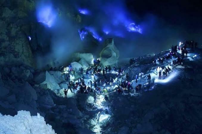 Ijen Mansjestic B&B Tamansuruh Zewnętrze zdjęcie